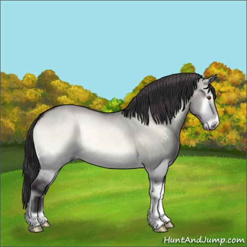 Horse Color:Buckskin Chinchilla Onyx Brindle 