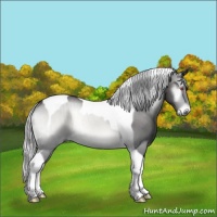 Horse Color:Silver Buckskin Chinchilla Onyx Tobiano Rabicano Brindle 
