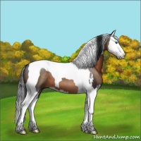 Horse Color:Brown Sabino Splash Tobiano