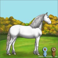 Horse Color:Black Pearl Sabino Splash Tobiano 
