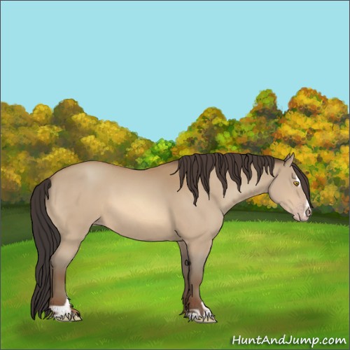 Horse Color:Amber Champagne Sabino 