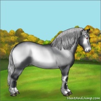 Horse Color:Silver Brown Chinchilla Onyx 