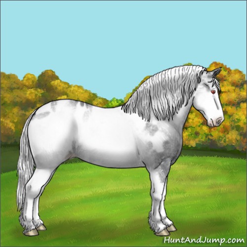 Horse Color:White Spotted Silver Brown Chinchilla Onyx Appaloosa 