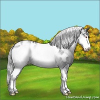 Horse Color:White Spotted Silver Brown Chinchilla Onyx Appaloosa 