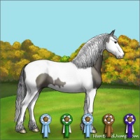 Horse Color:Grullo Sabino Splash Tobiano