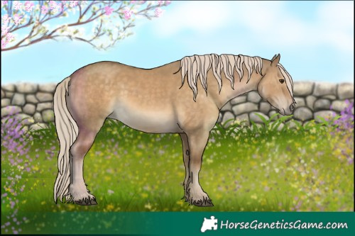 Horse Color:Chocolate Palomino Dun