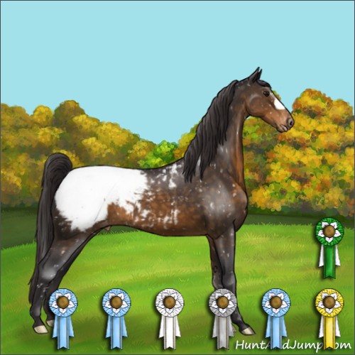 Horse Color:Buckskin Snowcap