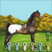 Horse Color:Buckskin Snowcap 