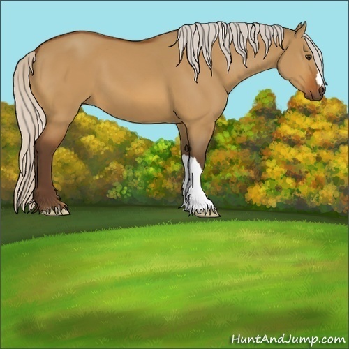 Horse Color:Silver Bay Dun 