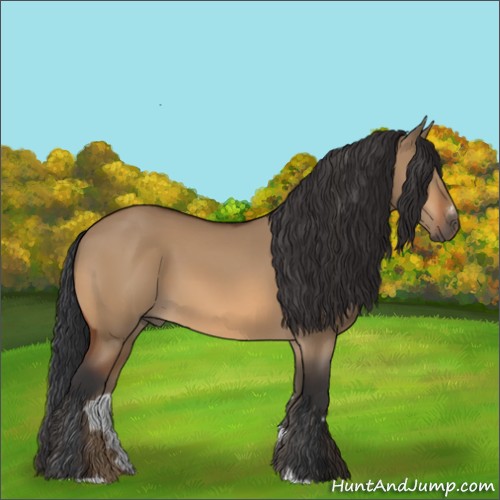 Horse Color:Bay Dun Sabino 