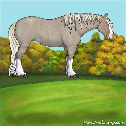 Horse Color:Silver Grullo Roan Splash Appaloosa 