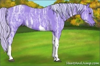 Horse Color:Watercolor Silver Bay Ice Tobiano 