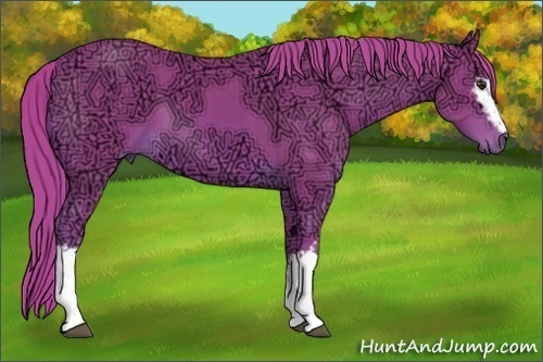 Horse Color:Watercolor White Spotted Chestnut Ice 