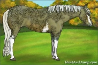Horse Color:Watercolor White Spotted Silver Bay Ice