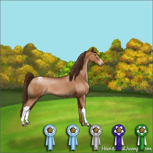 Horse Color:Gray Brown Roan Pearl Appaloosa