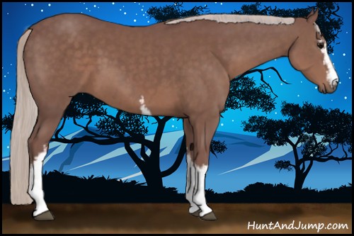 Horse Color:White Spotted Chocolate Silver Black Sabino 