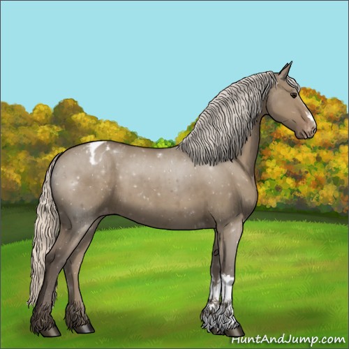 Horse Color:Silver Grullo Appaloosa