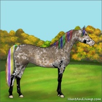 Horse Color:Painted Silver Smoky Grullo Sabino 