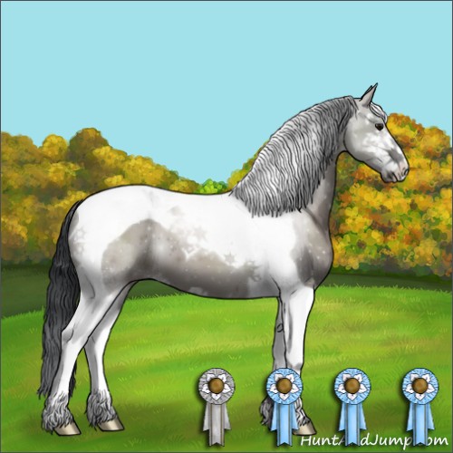 Horse Color:Grullo Sabino Tobiano 