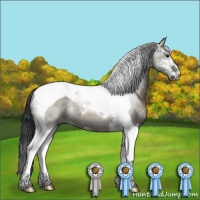 Horse Color:Grullo Sabino Tobiano 