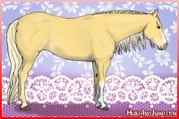 Horse Color:Palomino 