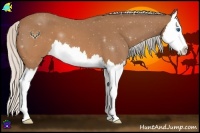 Horse Color:Silver Brown Roan Splash 