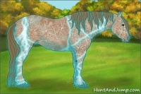 Horse Color:Thunderstruck Chestnut Ice 