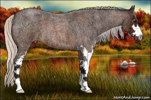 Horse Color:Silver Brown Ice Roan Sabino