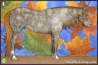 Horse Color:Gold Champagne Ice Dun 