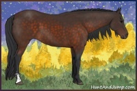 Horse Color:Brown Sabino
