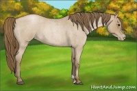 Horse Color:Blue Roan Pearl 