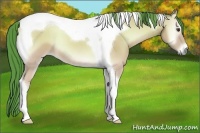 Horse Color:Watercolor Buckskin Onyx Tobiano
