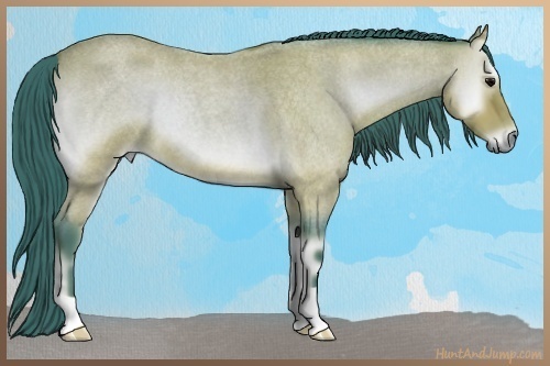 Horse Color:Watercolor Bay Roan Onyx