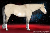 Horse Color:Bay Roan Dun Splash Frame Rabicano