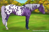 Horse Color:Watercolor Silver Brown Ice Appaloosa 