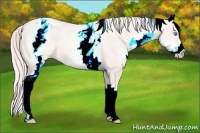 Horse Color:White Spotted Gold Cream Champagne Pearl Appaloosa 