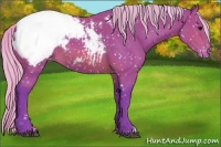 Horse Color:Watercolor Silver Brown Appaloosa 