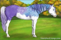 Horse Color:Watercolor Smoky Black Splash 