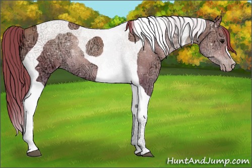 Horse Color:Black Ice Pearl Tobiano 