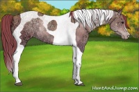 Horse Color:Black Ice Pearl Tobiano 