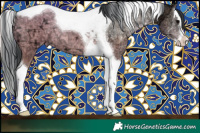 Horse Color:Brown Ice Onyx Splash Tobiano