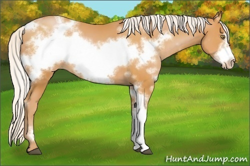 Horse Color:White Spotted Silver Bay Pearl Frame 