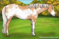 Horse Color:White Spotted Silver Bay Pearl Frame 