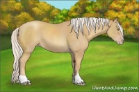 Horse Color:Silver Classic Cream Champagne