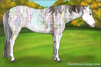 Horse Color:Plaid Liver Chestnut Ice Sabino Rabicano