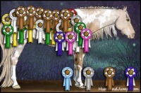 Horse Color:White Spotted Liver Chestnut Pearl