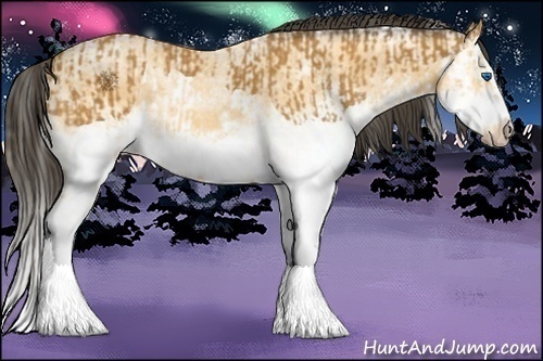 Horse Color:Bay Splash  and White Spotted Buckskin Ice Roan Splash Frame 