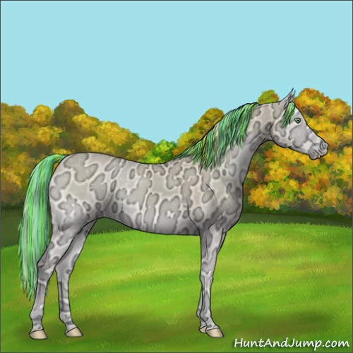 Horse Color:Painted Perlino Ice Onyx 