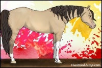 Horse Color:Amber Champagne Dun 