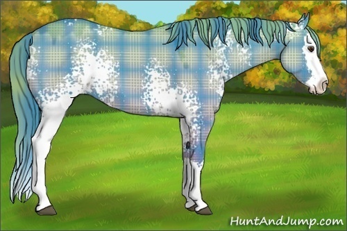 Horse Color:Watercolor Plaid  White Spotted Grullo Chinchilla Sabino Splash 